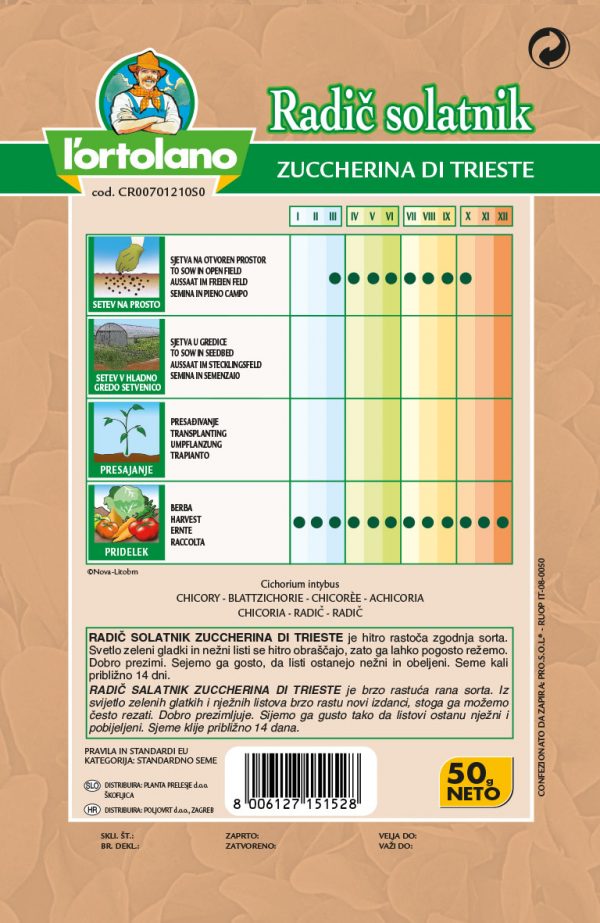 RADIČ TRŽAŠKI SALATNIK 50 G – poljovrt sjeme povrća, cvijeća i začina
